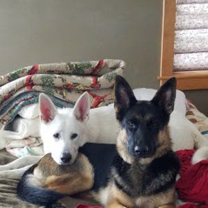 Meet your Posher, Byron